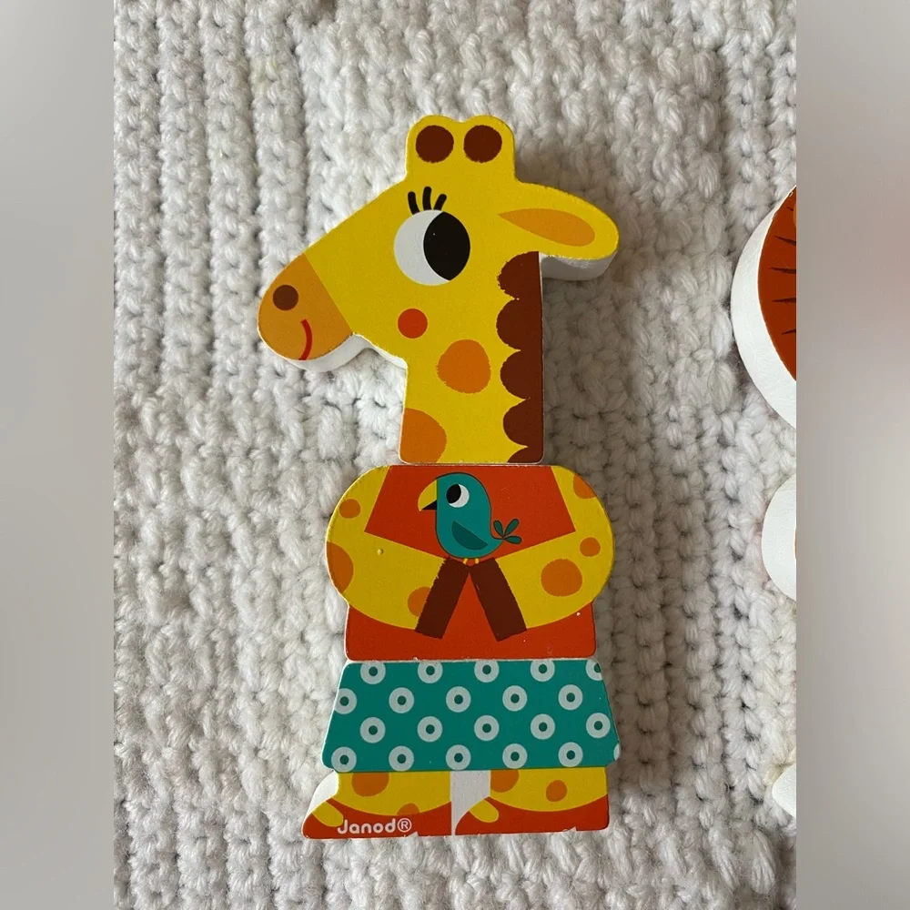 Janod Wooden Magnetic Toy